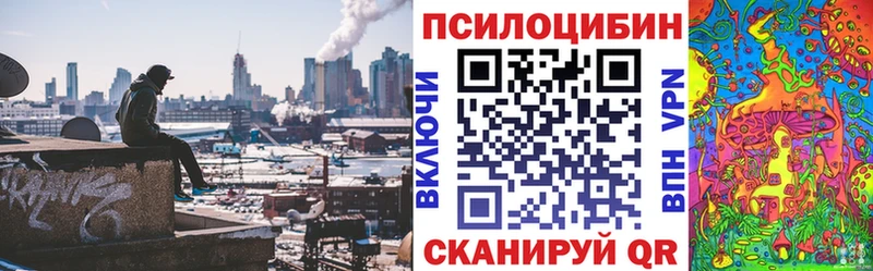 купить   Орлов  Галлюциногенные грибы GOLDEN TEACHER 
